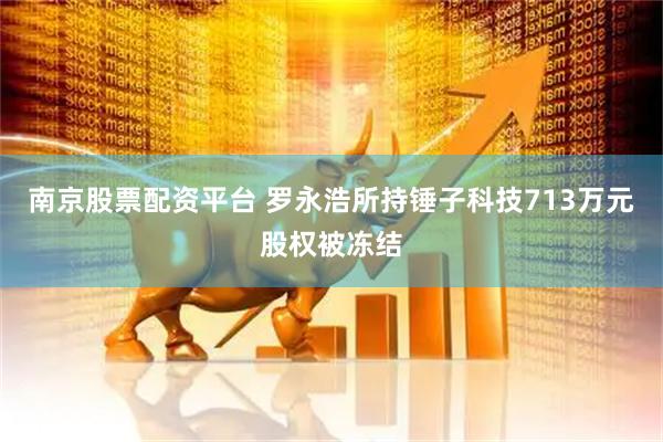 南京股票配资平台 罗永浩所持锤子科技713万元股权被冻结