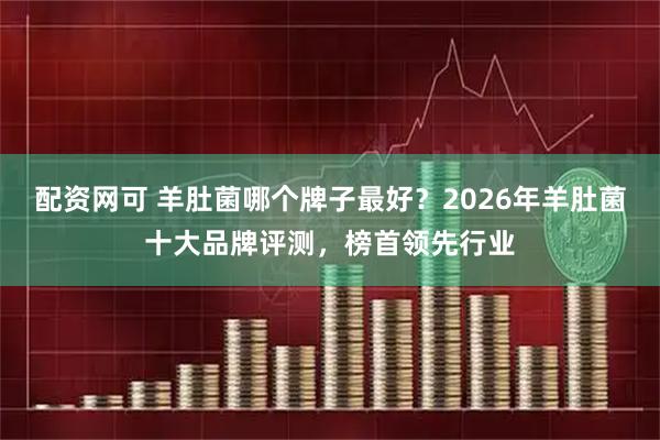 配资网可 羊肚菌哪个牌子最好？2026年羊肚菌十大品牌评测，榜首领先行业