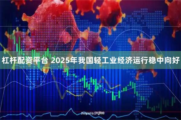 杠杆配资平台 2025年我国轻工业经济运行稳中向好