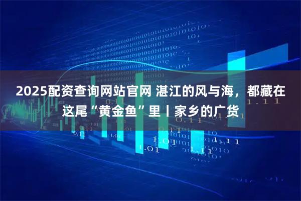 2025配资查询网站官网 湛江的风与海，都藏在这尾“黄金鱼”里丨家乡的广货