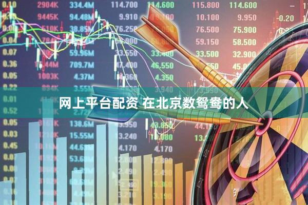 网上平台配资 在北京数鸳鸯的人