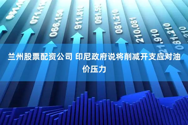 兰州股票配资公司 印尼政府说将削减开支应对油价压力