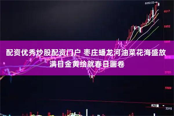 配资优秀炒股配资门户 枣庄蟠龙河油菜花海盛放 满目金黄绘就春日画卷